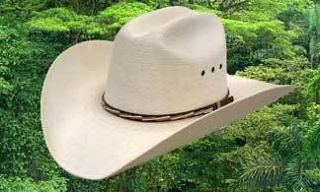  Clearance LINE​D Finest Palm Leaf Western Cowboy Hat 1000X 