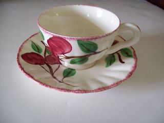BLUE RIDGE Southern Potteries CRAB APPLE cup and saucer set