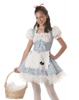 Storybook Sweetheart Dress Apron Crinoline Tween Girls Halloween 