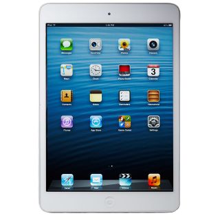 Apple iPad mini 16GB, Wi Fi, 7.9in   Black & Silver (Latest Model)