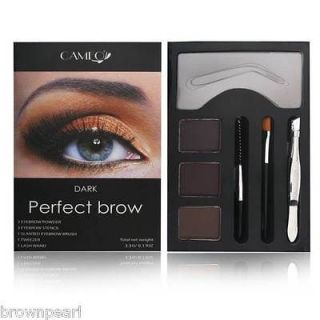 Cameo Cosmetics Perfect Brow Dark Eyebrow Colors Stencils Tweezers 