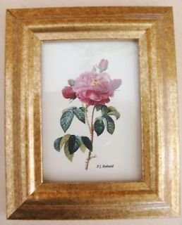 REDOUTE FLOWER ROSE PICTURE PHOTO HOME DECORATION