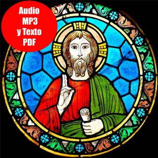 DVD Biblia REINA VALERA en Español Audio  y Texto PDF + 2nda 