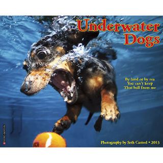 Underwater Dogs 2013 Wall Calendar