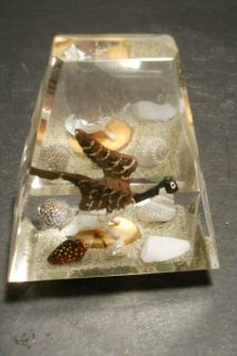 vtg Acrylic Paperweight With Goose Sand & Sea Shells, clear Acrylic 