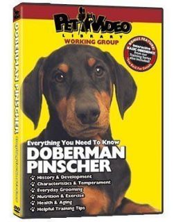 Doberman Pinscher Dvd Includes Dog & Puppy Training Bonus (DVD, 2007)