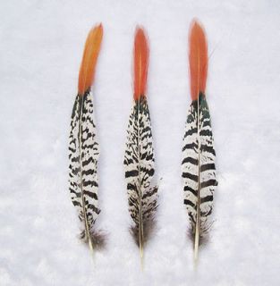 NEW for crafts 10Pcs Natural Color Grizzly pheasant tail feathers 8 10 