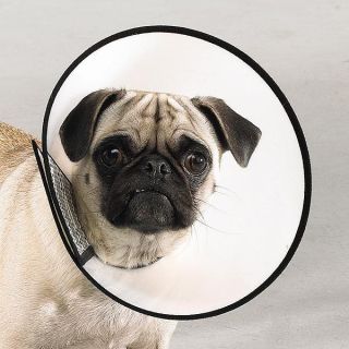   Collar Elizabethan Dog Wound Healing Cone XS S M L XL XXL pet sizes