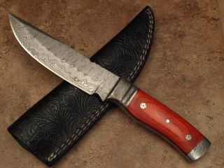 U511RW DAMASCUS STEEL CUSTOM HAND MADE SKINNER HUNTING KNIFE 10 