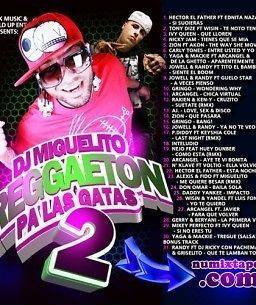 DJ Miguelito Reggaeton Pa La Gatas 2 Dembow Party Mix