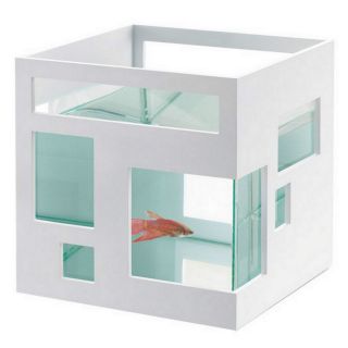 New Umbra Design FishHotel Aquarium Stylish Betta Beta Gold Fish Bowl 