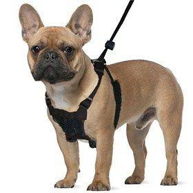 Sporn NO PULL MESH Dog Harness   Prevents Pulling