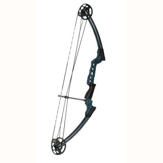 AMS 2013 Fire Eagle Bowfishing Bow Only, Left Hand