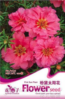Pack 200+ Flowers Seeds Portulaca Grandiflora Sun Plant Seeds Pink 