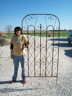 Really BIG Garden Trellis for a Large Screen for Flowers or Privacy