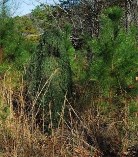 Ghillie Suits Poncho Full Camouflage suit Leafy Green