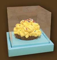 Clear Top Cupcake Boxes   Single Favor Party Set of 10