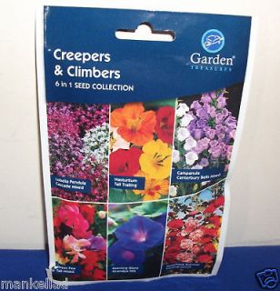   SEEDS TRAILLING CLIMBERS CREEPERS GARDEN PLANTS FLOWERS POTS TUBS