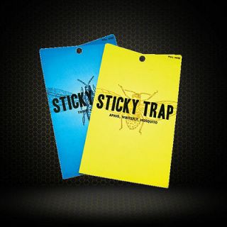 10 Pack Bug Sticky Traps 2 Packs of 5 for Mites Thrips Whitefly 