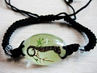   natural sexy green grass bangle glow in dark jewelry charm bracelet