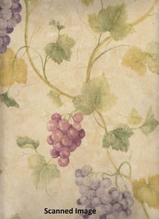 Kitchen Wallpaper/ Vines with Grapes Sidewall / Tan Background