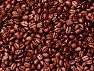 raw coffee bean in Coffee Beans