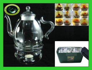 Glass Teapot 35oz+warmer+24 Blooming Flower Green tea