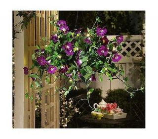 Bethlehem Lights Hanging Basket You Purple/White Mix Petunia