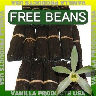 25 Organic Gourmet Gr A Planifolia Bourbon Vanilla Beans 6~7