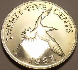 RARE PROOF BERMUDA 1983 25 CENTS~6,474 MINTED~YELLOW BILLED TROPICAL 