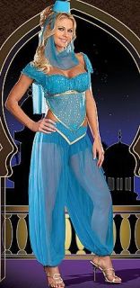 Genie Princess Arabian Nights Belly Dance Fancy Dress Costume, 3 