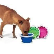 Silicone Collapsible Travel Bowl for Pets 1 Cup Size by Bamboo Pick 