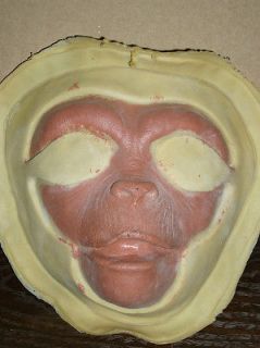 Female Chimp Apes Prosthetic Face Casting not Don Post Mask
