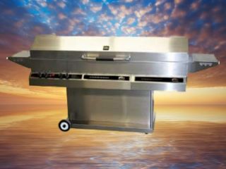 Natural Gas Grills in Barbecues, Grills & Smokers