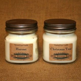 Soy Candle Natural Soybean Wax 8 oz Mason Jar Fall Holiday Scents