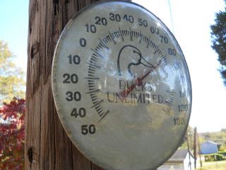 Vintage Ducks Unlimited Duck Decoy Thermometer Rare Ducks Unlimited 