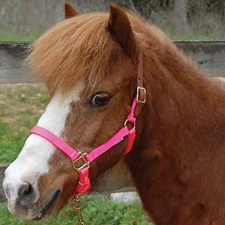 Miniature Horse Breakaway Halter   4 Colors and 3 Sizes available NEW