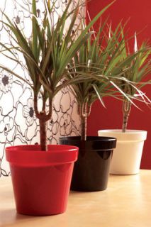   flower plant pot PATIO GLOSS, 5 colours, 2 sizes, indoor outdoor shine