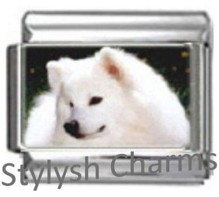   DOG Photo Italian Charm 9mm Link   1x DG036 Single Bracelet Link