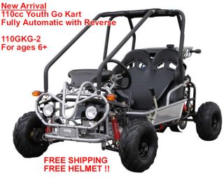2012 110cc Youth Go Kart Dune Buggy Automatic +Reverse FREE SHIP 