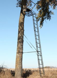 NEW The Big Game Legacy 20 Ladder Stand BG CR4160