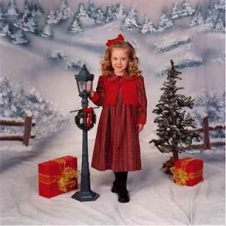 christmas photography backdrops in Background Material