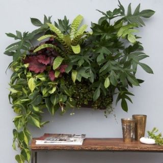 Living Wall Planter Vertical Garden Hanging Wall Planter by Woolly 