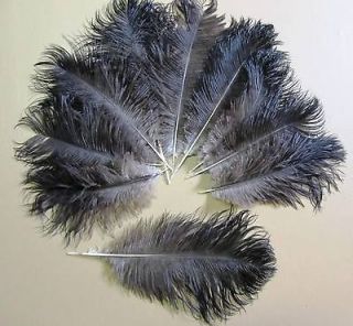   OSTRICH Feathers, 6 8 Long  Wedding, COSTUMES, Jewelry, from the USA