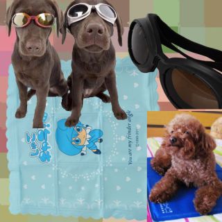   Ice Pad Dog UV Goggles Sun Glasses Black Ice Cream Ice Pad Blue
