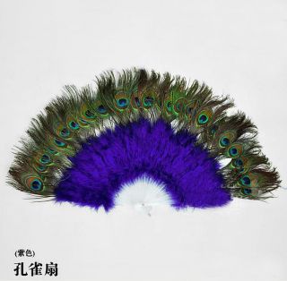 peacock feather fan in Clothing, 