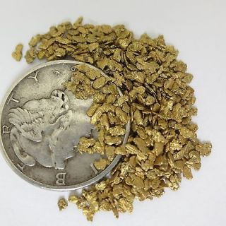 11 grams Alaska Gold Nuggets, 16 20 Mesh Size, Tenth Ozt, Alaskan 