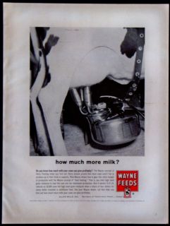 Vintage 1963 Wayne Cattle Feeds Magazine Ad