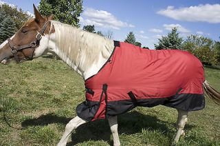 Sporting Goods > Outdoor Sports > Equestrian > Stable, Care & Grooming 