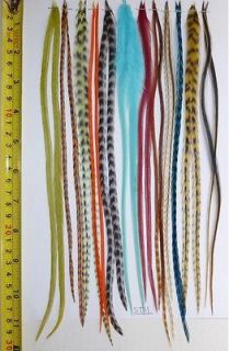 24 Long Whiting Feathers for Hair Extensions, w/20 Beads #ST11, 10 